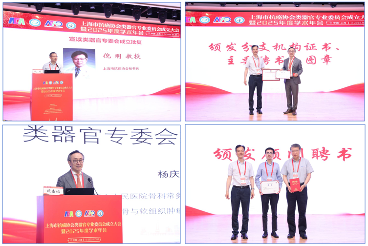 聘书颁发.png