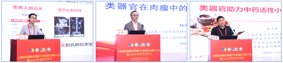 3江杨徐.png